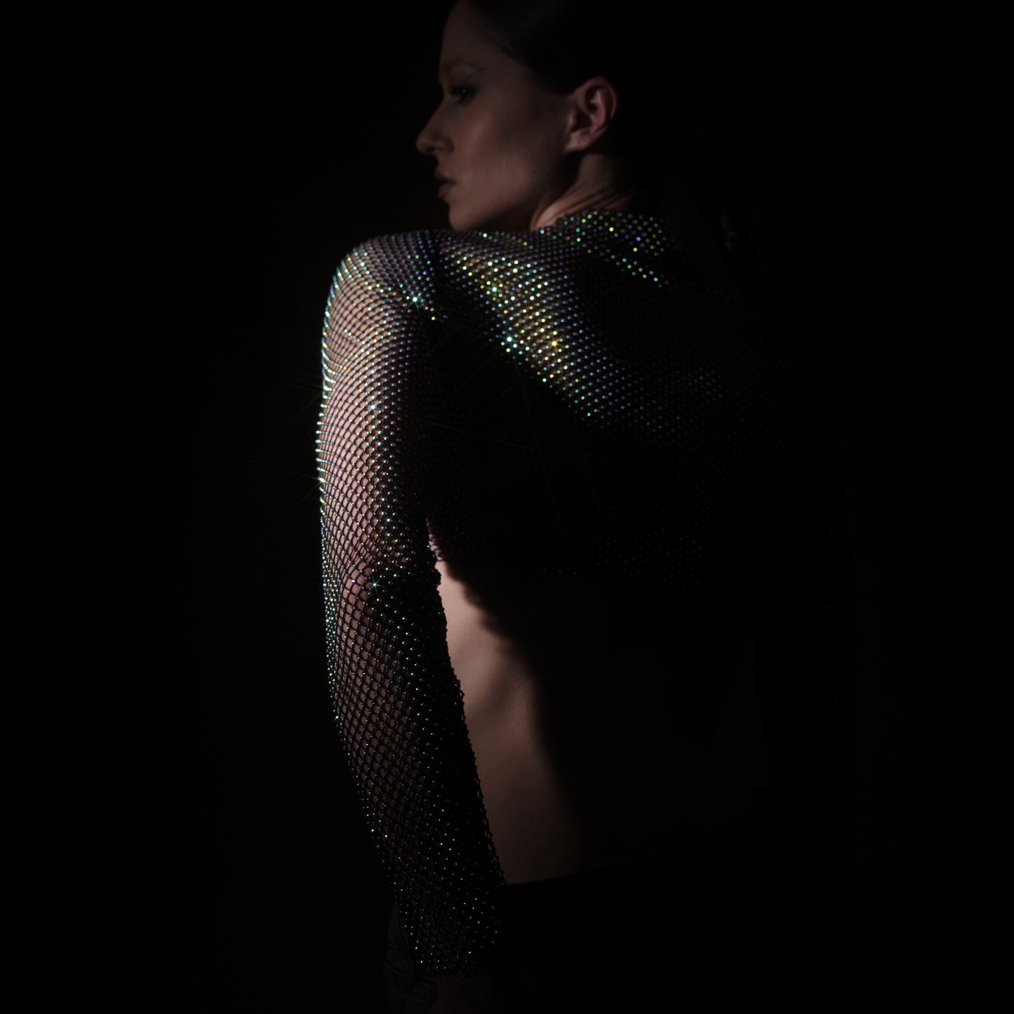 Lorelei II Rhinestone Long-sleeve Crop Top