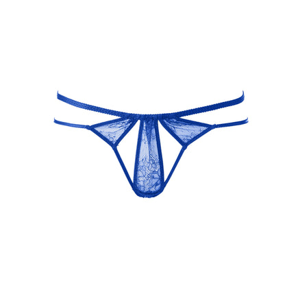 Faye Stylish Lace Cheeky Briefs | Blue